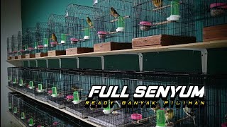 Download lagu 3 November 2025 mp3 Download lagu 3 November 2025 mp3