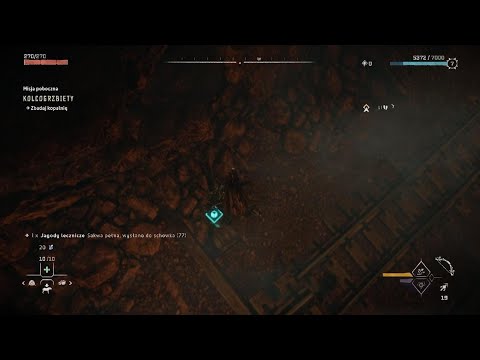 Horizon Forbidden West PL: Kolcogrzbiety i Ambasada odc.10