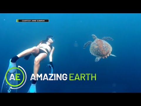 Amazing Earth: Free divers explore the shipwrecks' depths!