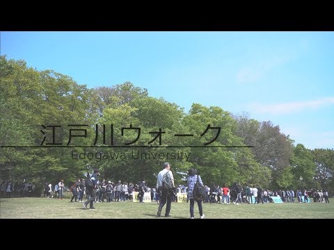2019年4月 江戸川ウォーク（道のり編）