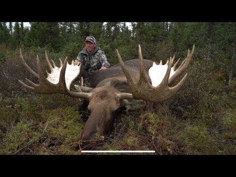 TOP 3 BIGGEST MOOSE EVER SHOT! (Compilation)