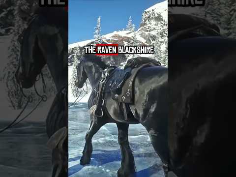 You Shouldn't Get a Brave Horse in RDR2 #rdr2 #reddeadredemption