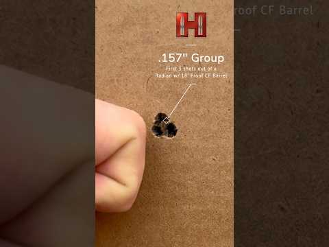 Hornady Custom .40S\u0026W 180gr XTP Ballistic Gel Test \u0026 Review