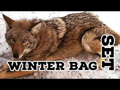 HowTo Winter Bag Set - FreezeProof Coyote / Fox Trap