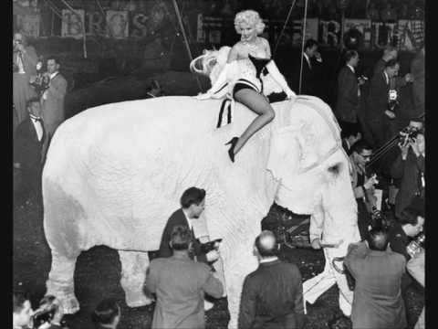 download lagu mp3 mp4 Elvis Presley And Marilyn Monroe Pics, download lagu Elvis Presley And Marilyn Monroe Pics gratis, unduh video klip Elvis Presley And Marilyn Monroe Pics