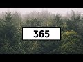 Zedd, Katy Perry - 365 (Lyrics) | Panda Music Zedd, Katy Perry - 365 (Lyrics) | Panda Music