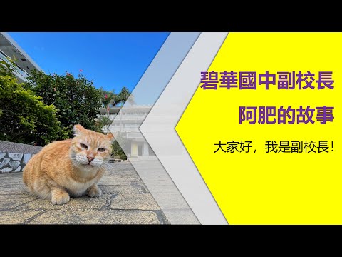 碧華國中副校長「阿肥」的故事-新北市110年校園犬貓影片網路票選活動