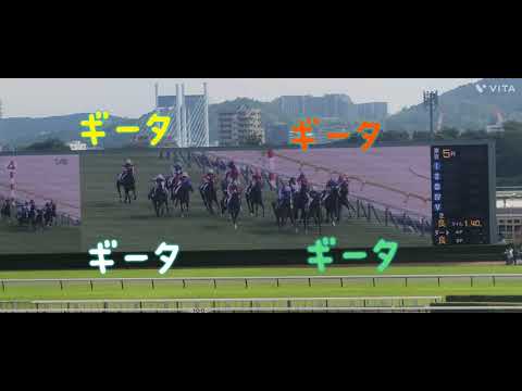 福岡ソフトバンクホークス、柳田悠岐選手の所有馬ベンティガスエルテ(牝2)がデビュー❗
