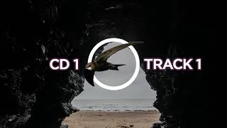 Download lagu Suara Walet - CD 1 Track 1 mp3 Download lagu Suara Walet - CD 1 Track 1 mp3
