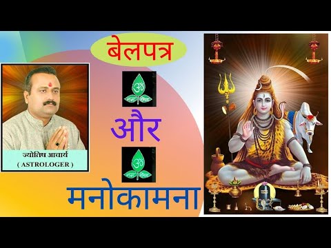 belpatra aur manokamana | bhavishyafal | ज्योतिषाचार्य पं विनोद दुबे #shorts #viral