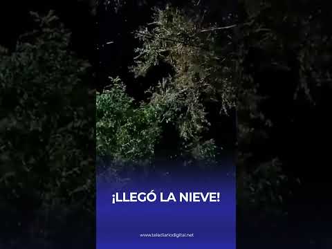 ❄️ LLEGÓ LA NIEVE