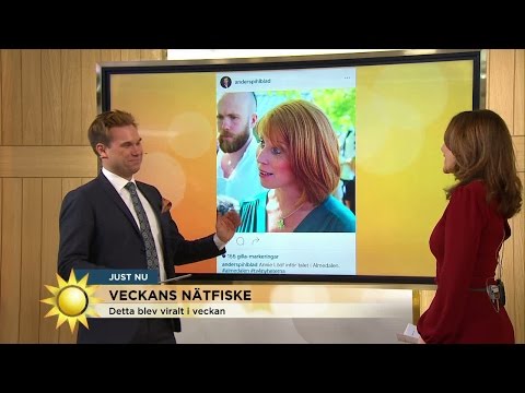 Veckans virala snackisar - Nyhetsmorgon (TV4)