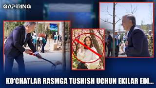 Ko'chatlar rasmga tushish uchun ekilar edi... | GAPiRING