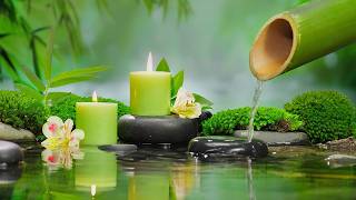 Música relajante con sonidos de agua para meditar - Fuente de agua de bambú para sanar y dormir