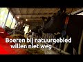 Boeren bij Brabantse natuurgebieden willen niet worden uitgekocht