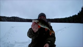 Рыбалка озеро песно псковская область