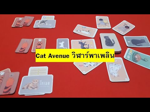 [บอร์ดเกม] EP069 - Cat Avenue วิฬาร์พาเพลิน