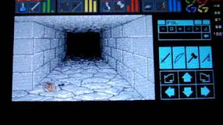 Dungeon Master PSPUAE 0.72