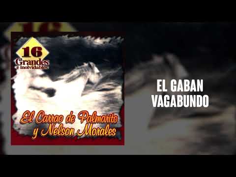 El Gaban Vagabundo - El Carrao De Palmarito | Cover Audio | Música Llanera
