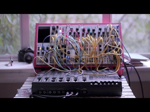 Whimsical Raps Mannequinns Mangrove VCO Eurorack Module Oscillator image 6