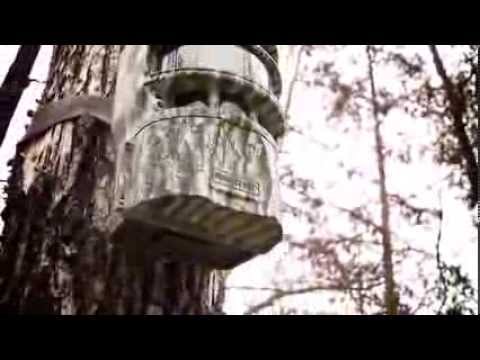 Moultrie P 150 Panoramic Field Camera Review w/ Video