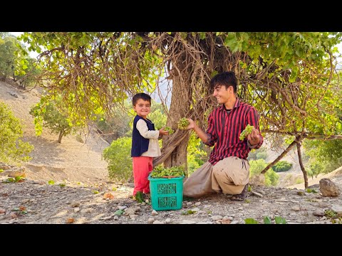 Kamal and Umm al-Bani's Adventure: The Mountain Quest for Wild Fruits | Mystery and Survival