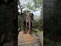 Bharat Darshan Park Punjabi Bagh New Delhi Gunj Vlogs