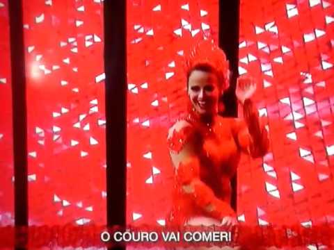 vinheta da Salgueiro 2016