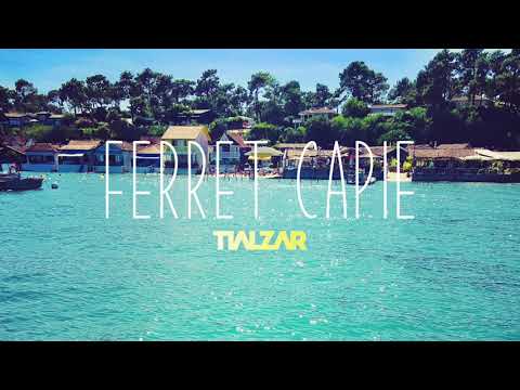 TIALZAR - Ferret Capie