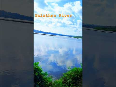 Galathea River Campbell Bay, Andaman #andaman #nature #viral #andamannicobar #travel#nicobar #short