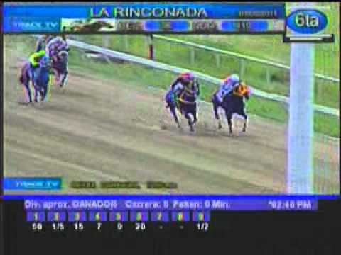 Resumen Sábado, 07 de Mayo de 2011 - La Rinconada