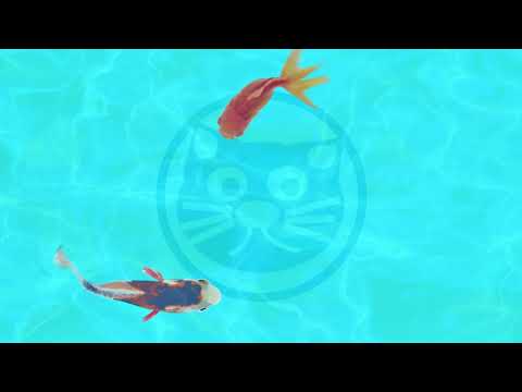 #catgame fish 😸🐟