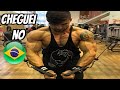 Diário de um Bodybuilder em Miami #52 - Cheguei no Brasil