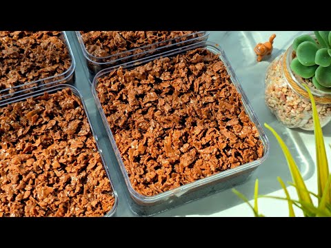 Feuilletine Crunch Cake | Resepi mudah