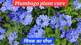 Download lagu https://youtube.com/@nothingisimpossible2076?si=s9NgDTLpvcq_Tasl mp3 Download lagu https://youtube.com/@nothingisimpossible2076?si=s9NgDTLpvcq_Tasl mp3