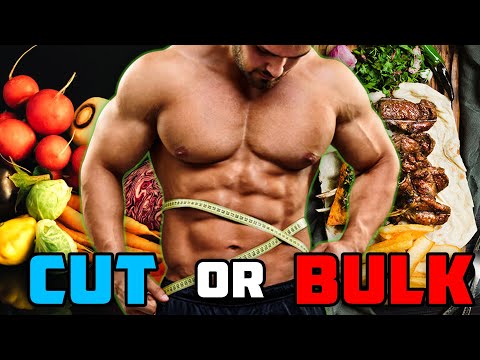 How To Know If You Should Bulk Or Cut?