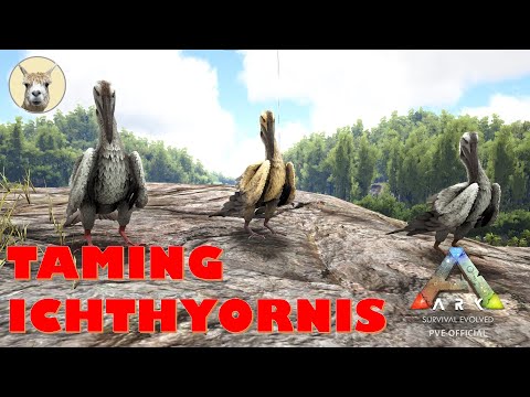 Ark Useful Tames - Ichthyornis - Official PVE