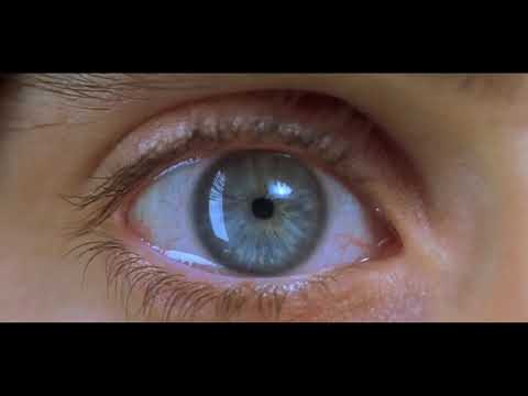 The Final Hit |Addiction| |Short Film|