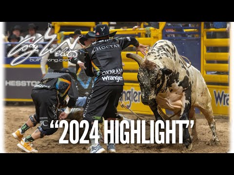 Cody Webster 2024 - Bullfighting Highlight