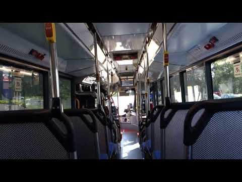 Newcastle Transport Volvo B8RLE (2833, ZF EcoLife): 13 inbound