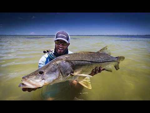 "Fishing In Our Soul" - Official Music Video - Jill's Cashbox ft. Salt Strong