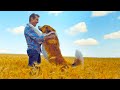 Dog Reincarnate To Protect His Owner’s Granddaughter | A Dog's Journey (2019) Movie Recap
