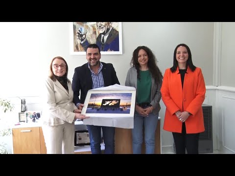 Portada video
