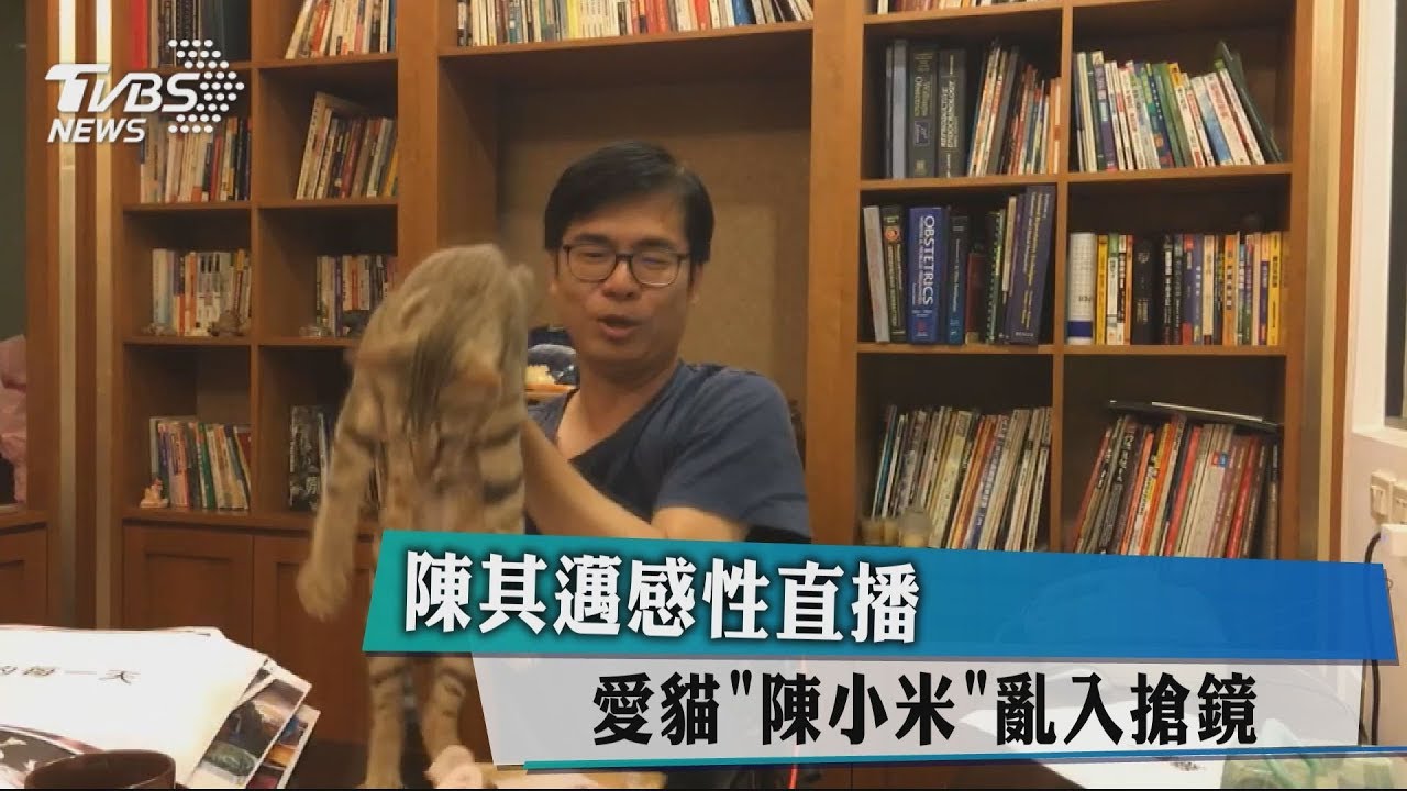 陳其邁直播愛貓亂入　痛哭正妹現身等喝咖啡
