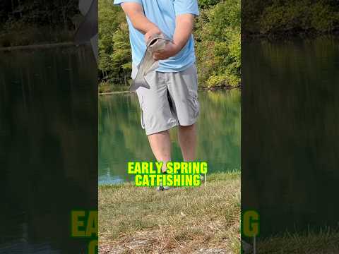 Early SPRING Catfishing Tips And Tricks!! #shorts #fishing #catfish #catfishing