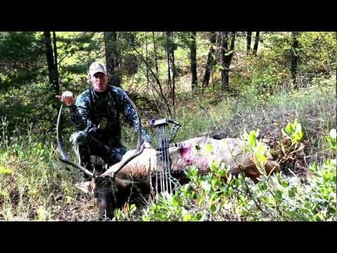 2012 MT Archery Bull Elk - Episode 4