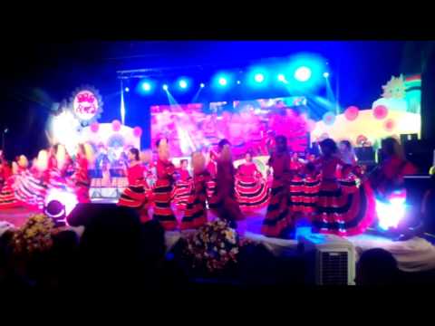 Visakha college Concert - 2016 (Grade - 3 C)