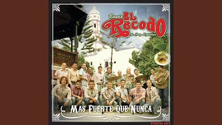 Cómo Te Va Sin Mí ?