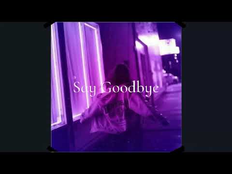 Snøw x Monty Datta - Say Goodbye