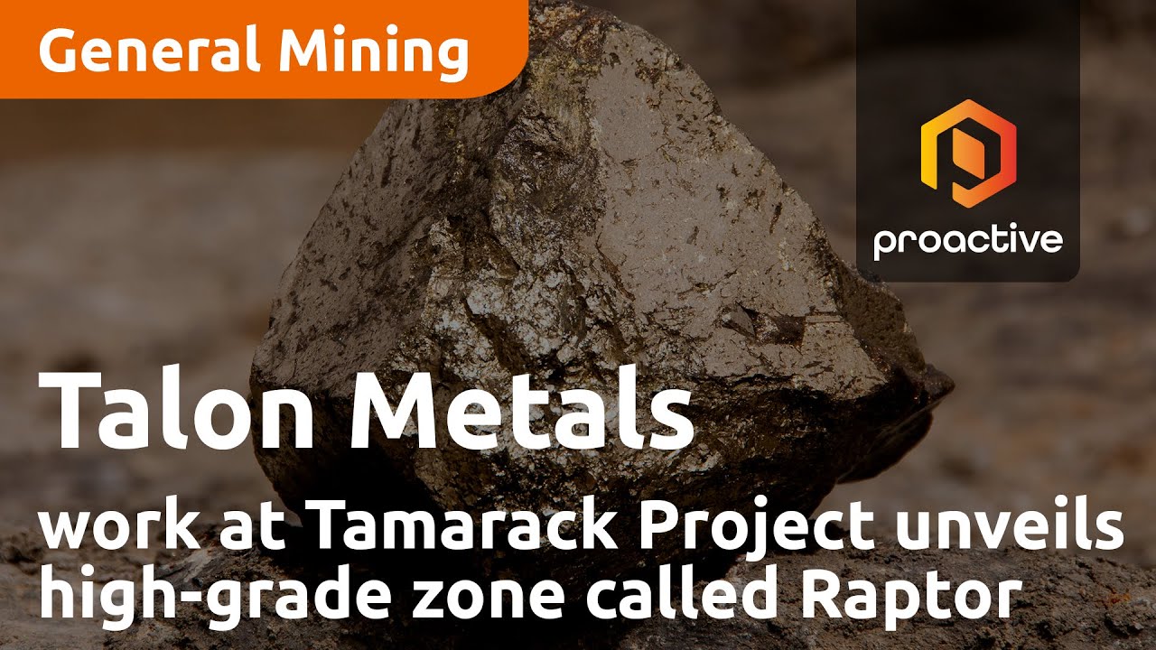 Talon Metals exploration work at Tamarack Project unveils new high-grade zone called Raptor